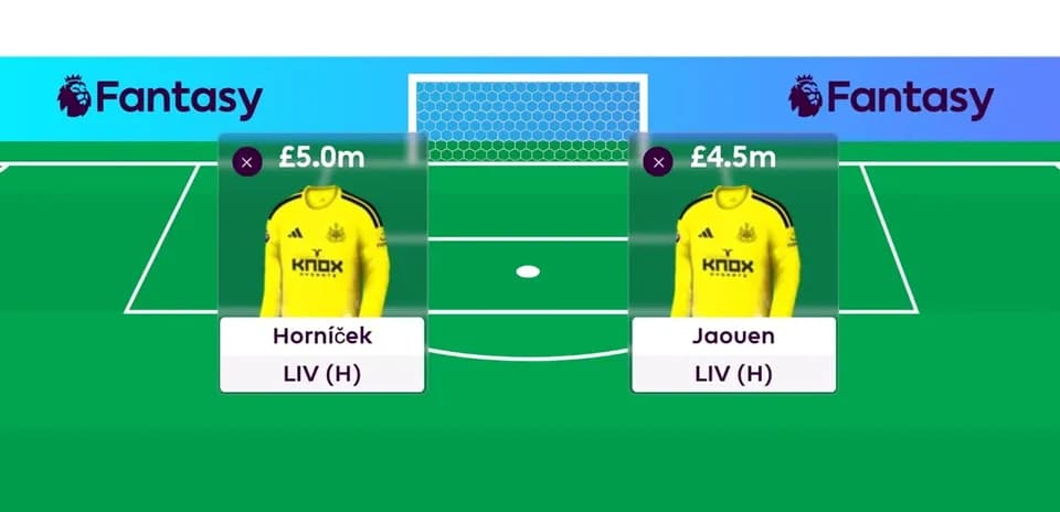 Deux gardiens de but de Newcastle avec statistiques