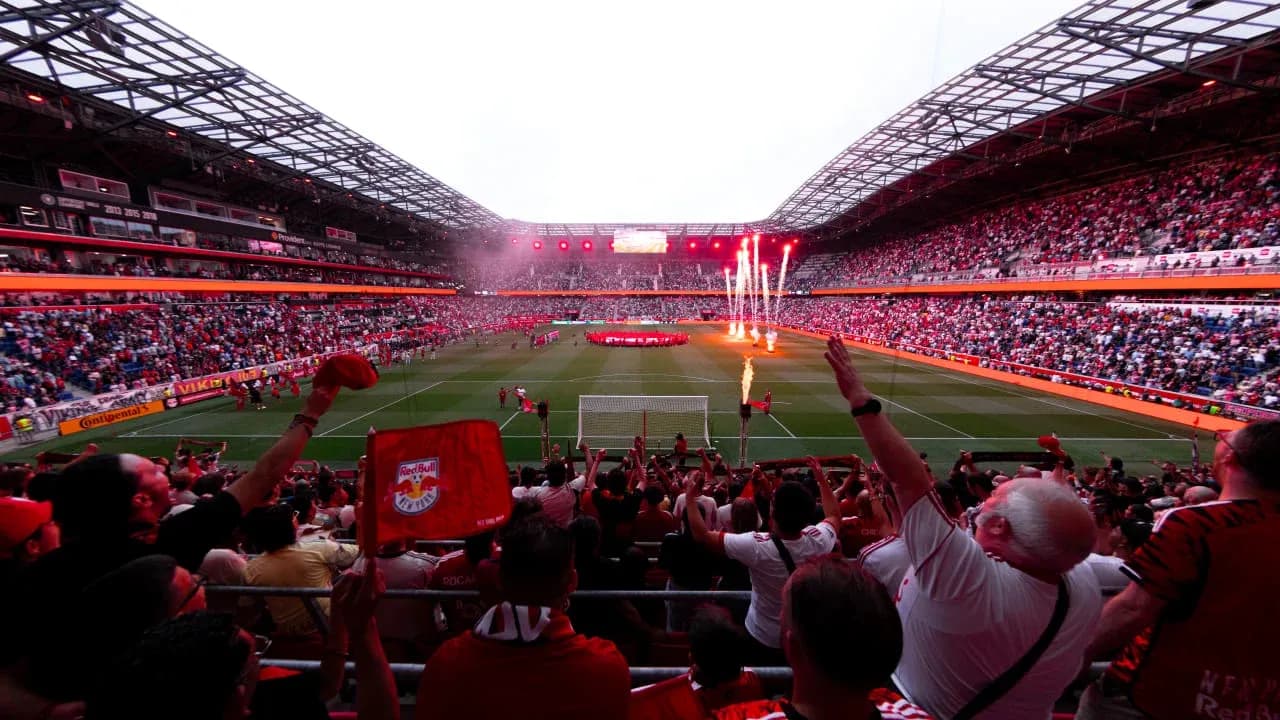 Supporters des New York Red Bulls au stade