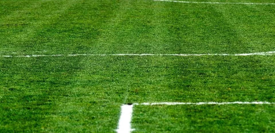 Terrain de football avec lignes blanches marquées