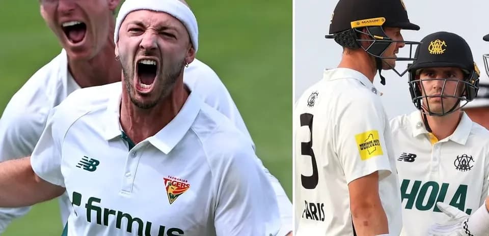 Joueur célébrant un wicket lors d'un match de cricket