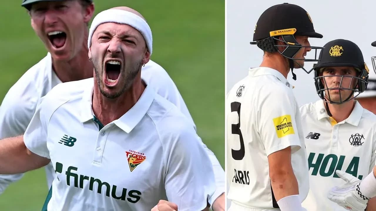 Joueur célébrant un wicket lors d'un match de cricket