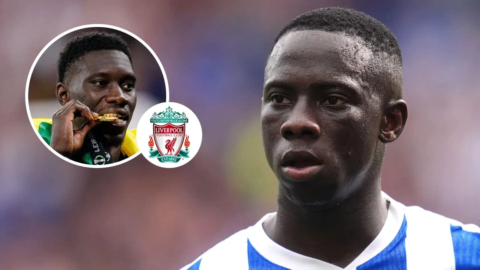 Joueur de football en maillot de Brighton en action