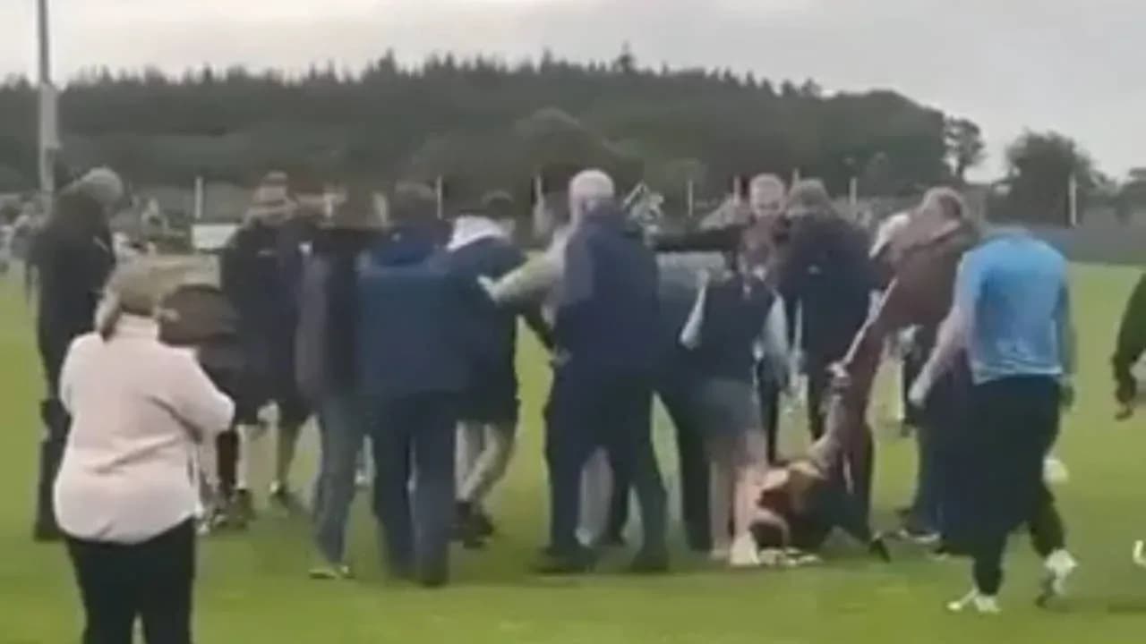 Supporters gathered on the field during altercation