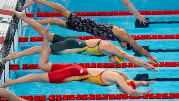 Nageurs plongeant dans la piscine lors de la compétition