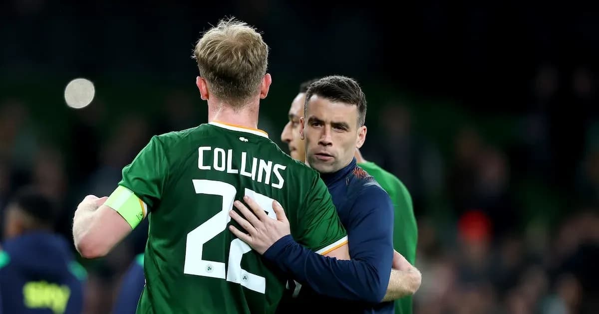 Joueurs irlandais se congratulant après le match