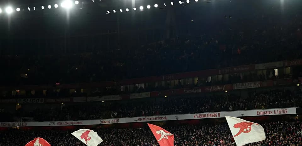 Supporters waving flags at Emirates Stadium during match