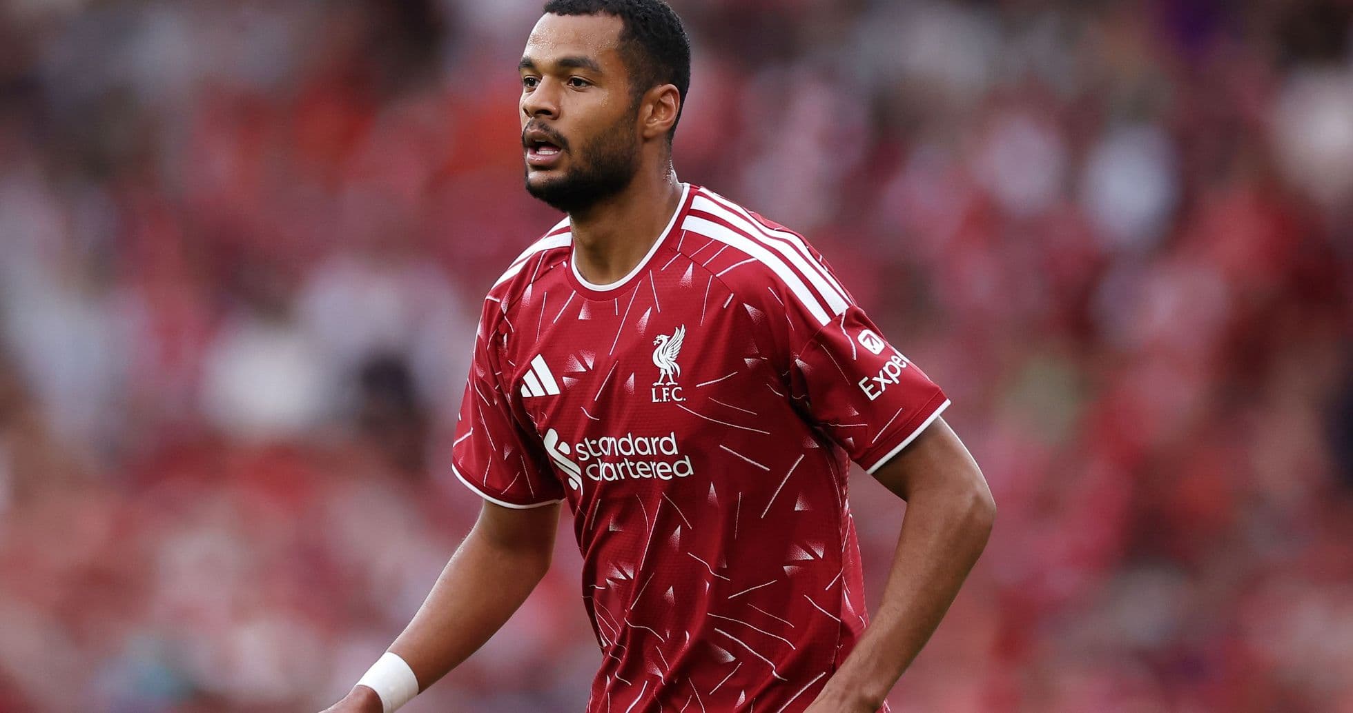 Iraola ne garantit rien sur Gakpo alors que Liverpool avance pour Barcola