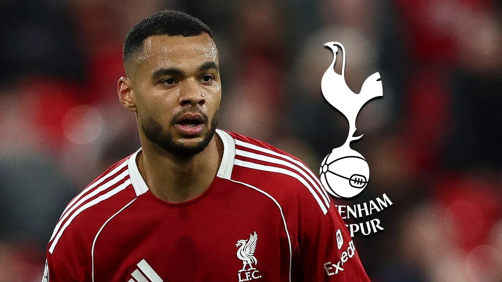 Joueur de Liverpool sur le terrain pendant un match Joueur de Liverpool sur le terrain pendant un match