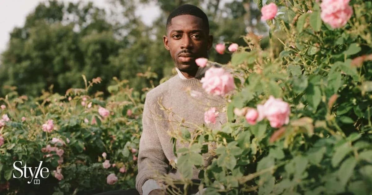 Homme assis parmi des roses en fleurs Homme assis parmi des roses en fleurs