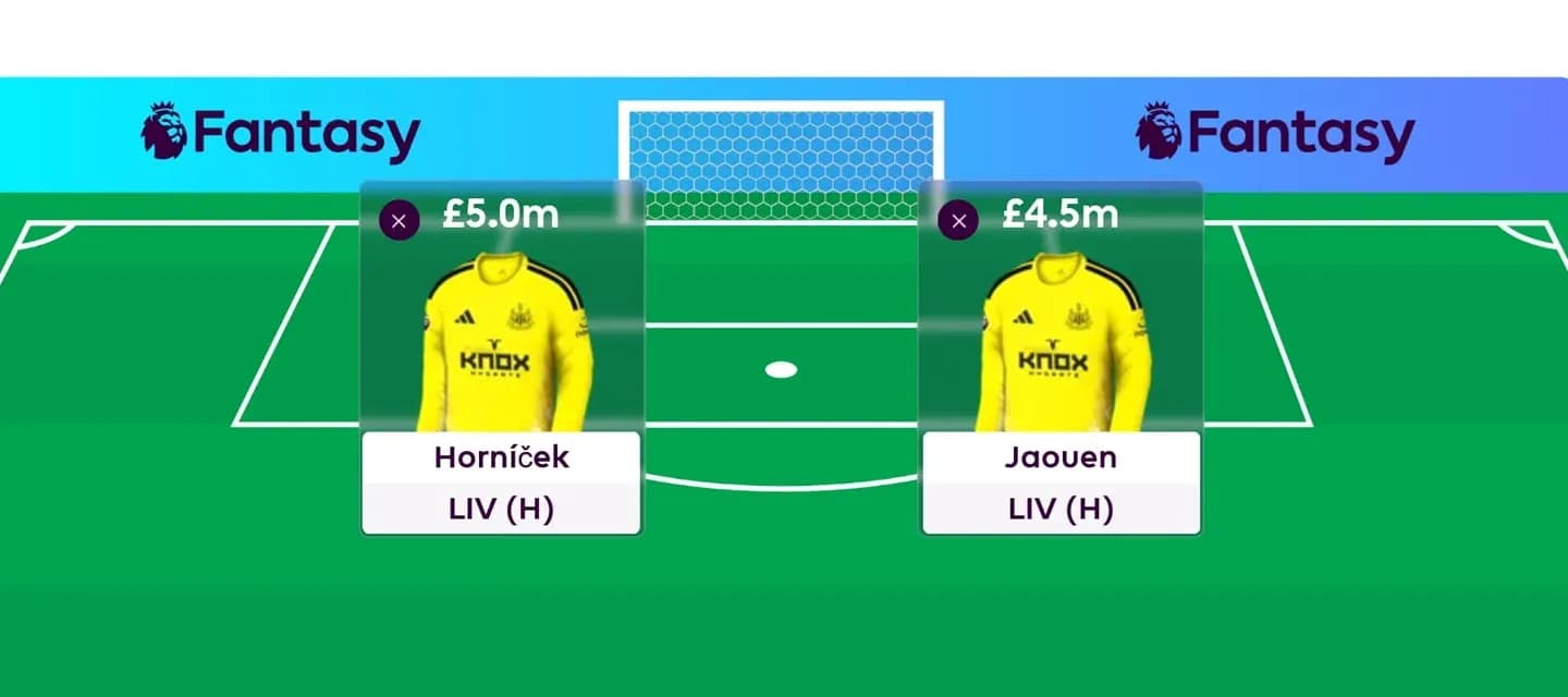 Deux gardiens de but de Newcastle avec statistiques Deux gardiens de but de Newcastle avec statistiques