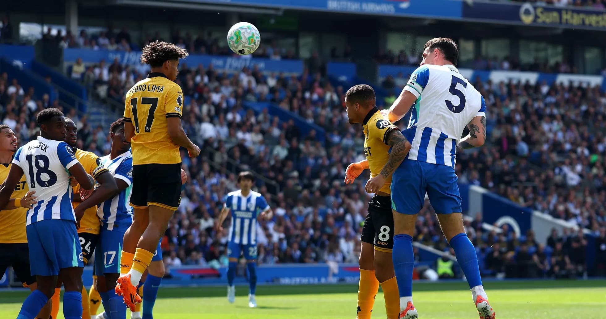 Action lors du match Brighton contre Wolves Action lors du match Brighton contre Wolves