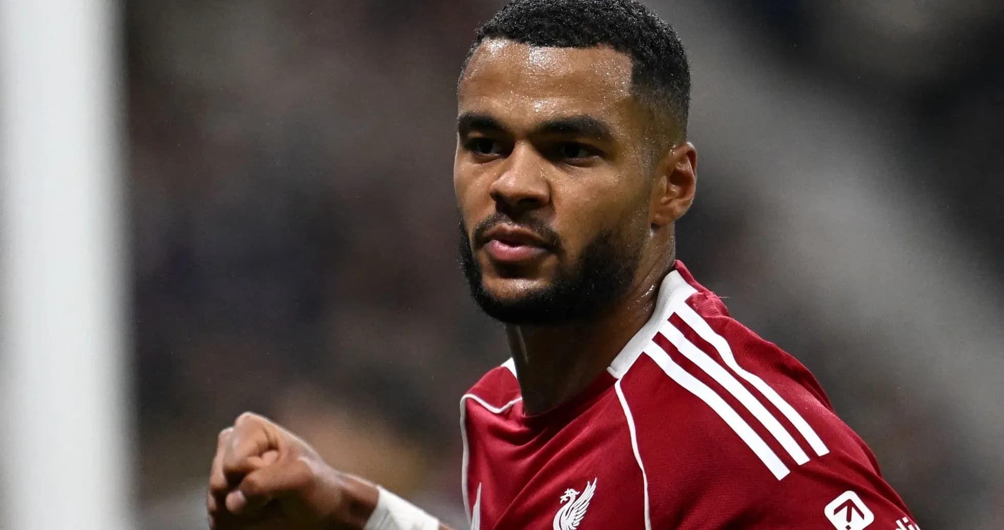 Joueur de Liverpool célébrant un but Joueur de Liverpool célébrant un but