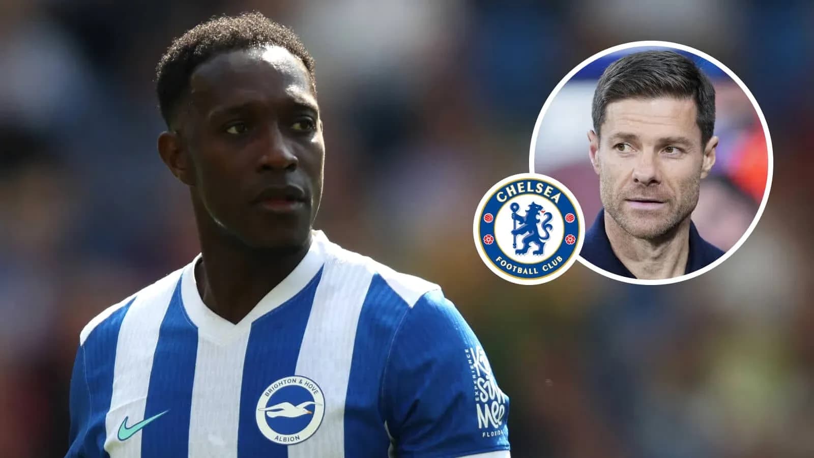 Joueur de Brighton en maillot rayé pendant un match Joueur de Brighton en maillot rayé pendant un match