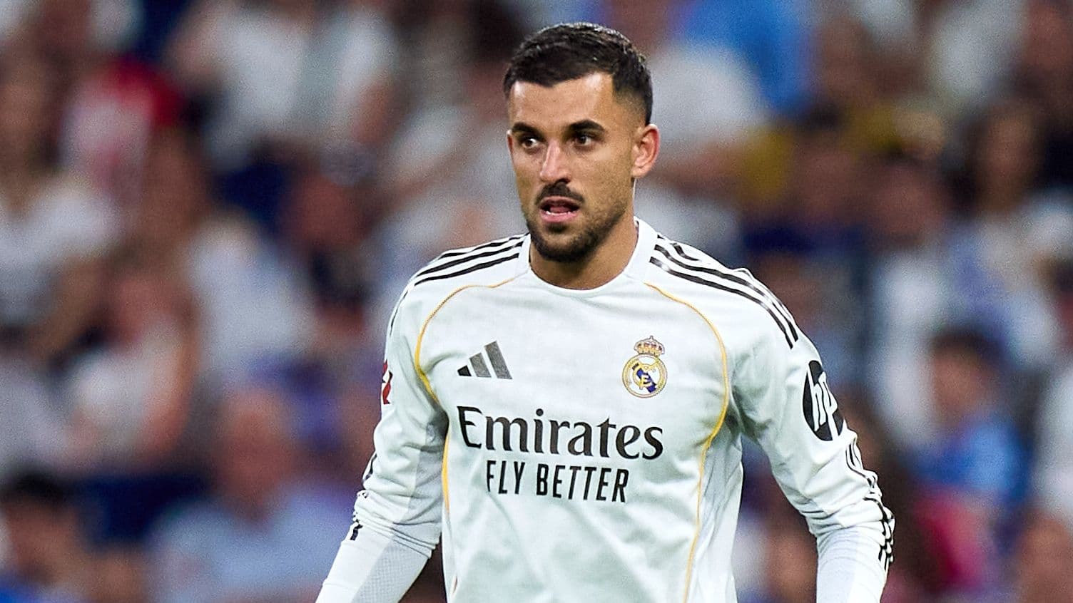 Napoli accélère sur le transfert de Dani Ceballos, ancien milieu du Real Madrid Napoli accélère sur le transfert de Dani Ceballos, ancien milieu du Real Madrid